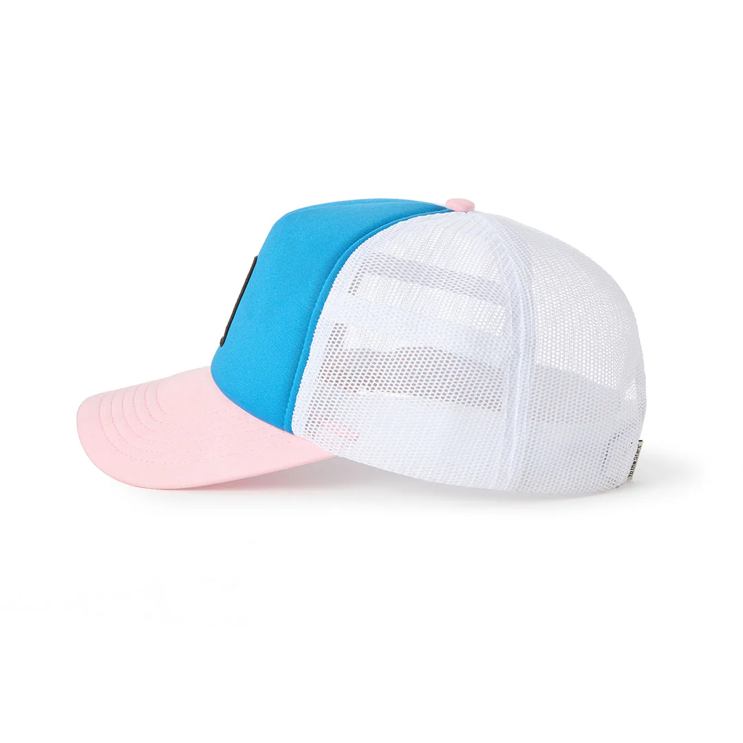 Street Sign Foam Trucker Hat Blue/Pink - Image 3